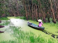 Cần Thơ