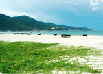 Bãi Biển Đà Nẵng
