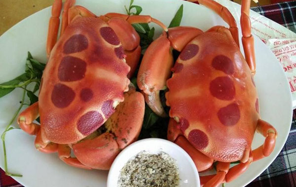 Cua Mặt Trăng, Côn Đảo Cua Mặt Trăng, Côn Đảo
