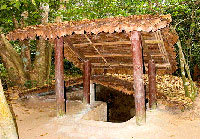 Củ Chi