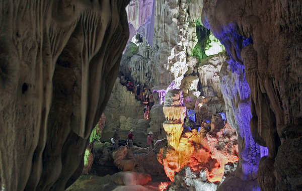 Hang Đầu Gỗ Hang Đầu Gỗ