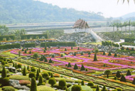 Vườn nhiệt đới