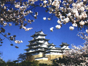 Tokyo – Kawaguchiko – Kyoto – Osaka