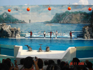 Du lịch Th&aacute;i Lan - Safari World - Pattaya