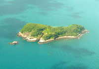 C&ocirc;n &ETH;ảo