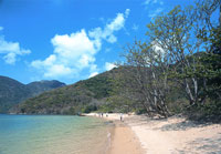 C&ocirc;n Đảo