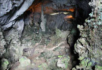 Hang Đầu gỗ