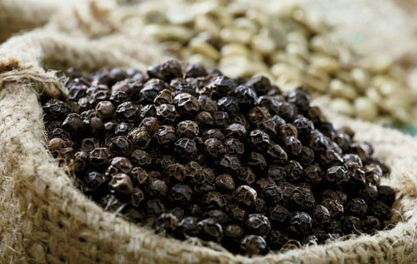 Hạt tiêu Phú Quốc Hạt tiêu Phú Quốc