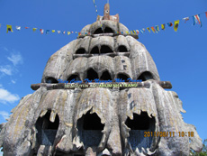 Hồ c&aacute; tr&iacute; nguyễn