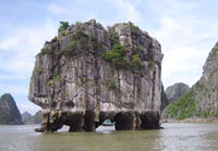 H&agrave; N&ocirc;i - Hạ Long - H&agrave; Nội 2 ng&agrave;y