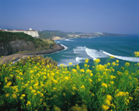 jeju korea