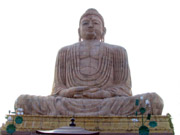 mahabodhi