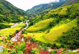 H&agrave; Nội - Sapa - Th&aacute;c Bạc - H&agrave;m Rồng - Cầu M&acirc;y