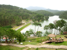 thung lũng t&igrave;nh y&ecirc;u đ&agrave; lạt