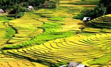 Du lịch Hà Nội - Sapa 6