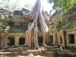tp HCM - Siem Riep - Phnompenh - tp HCM 3