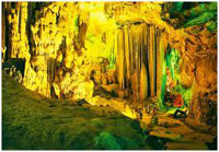 Động trung Trang C&aacute; B&agrave;