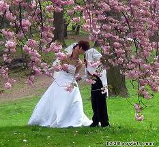 Tuần trăng mật tại Đ&agrave; Lạt