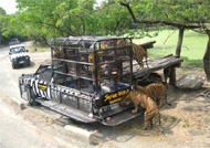 Du lịch Th&aacute;i Lan - Safari World - Pattaya