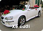 Xe đám cưới