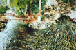Hải Hoà  (Thanh Hóa)