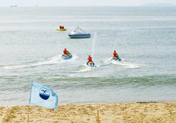 4 Khách Sạn Seagull Quy Nhơn