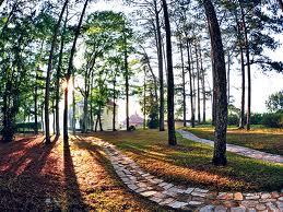 Cambodia tour packages 5