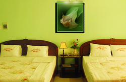 Khách sạn Valentine Huế - Phòng 8
