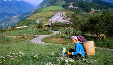 Khách sạn Topas Ecolodge Sapa 3<br />