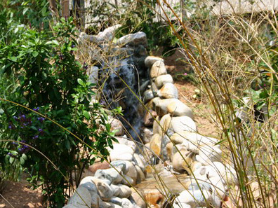 4 Khách Sạn Life Resort Quy Nhơn
