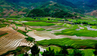 Thung lũng Cao Phạ thuộc huyện Mù Căng Chải, Yên Bái vào mùa đổ nước với những thửa ruộng còn mênh mang nước đan xen những thửa ruộng lúa đã lên cao.