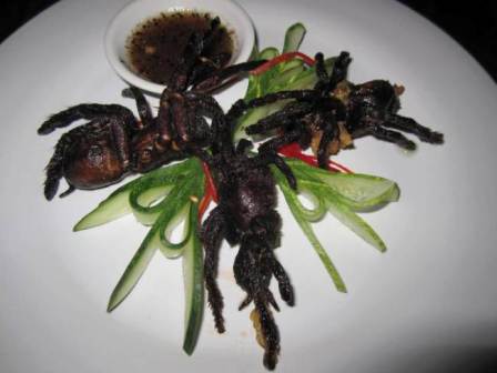 Đây là món ăn phổ biến ở đất nước Campuchia. Những con nhện đen sẽ được chiên lên sau đó thưởng thức, hương vị của nó được cho là khá nhạt. (Ảnh: Istolethetv)