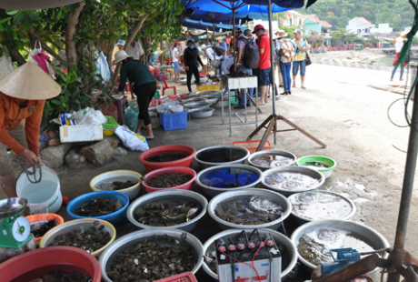 Du khách đi chợ, chọn đồ hải sản để nhờ chế biến ăn ngay tại chỗ.