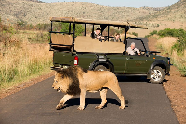 Công viên quốc gia Pilanesbreg sẽ đưa bạn vào một thế giới thiên nhiên hoang dã, tận mắt chứng kiến cuộc sống của những loài thú hoang dã của Châu Phi.