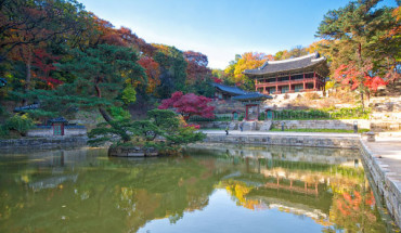 Một khu vườn phía sau, cung điện Changdeokgung , Seoul, Hàn Quốc