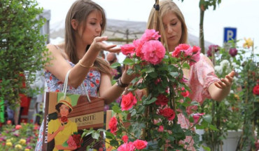 Ngoài Lavender, Rose Expo là lễ hội hoa hồng quan trọng trong năm tại vùng Provence.