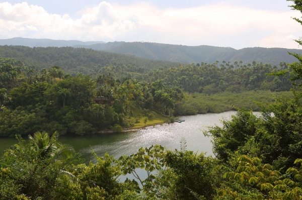 Khu rừng nhiệt đới bao phủ ngọn núi Sierra Cristal bên ngoài thành phố Baracoa.