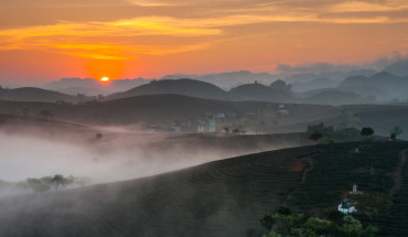 Nếu có dịp thức dậy đón bình minh ở Mộc Châu vào một ngày nắng nhiều sương bạn sẽ được chiêm ngưỡng một vẻ đẹp kỳ ảo của cao nguyên này.