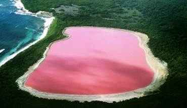 Hồ màu hồng – Australia.
