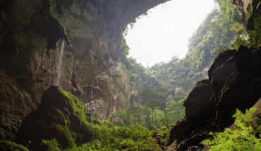 Các nhà thám hiểm người Anh đã đặt tên cho khu rừng này là “Vườn Adam”