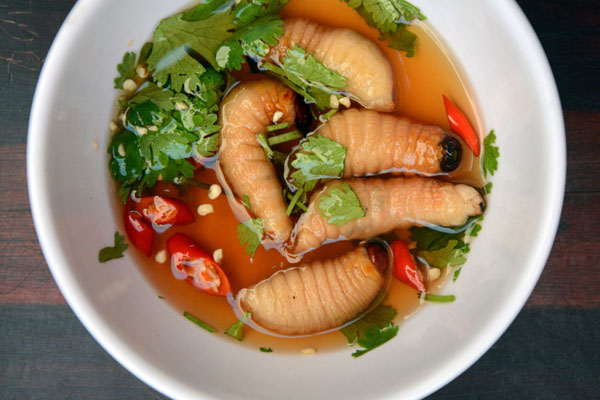 Đuông dừa ngâm nước mắm là món ăn khoái khẩu của nhiều dân nhậu tại Việt Nam
