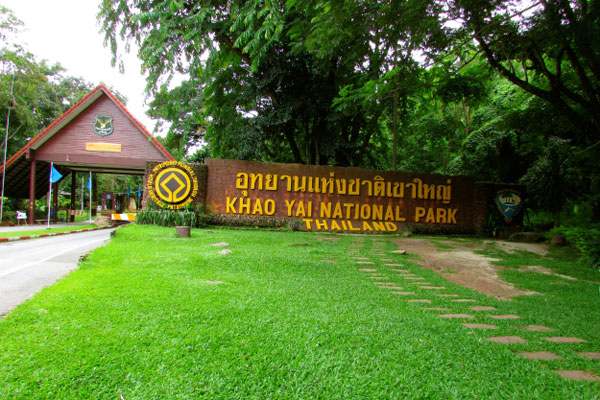 Trải Nghiệm Vườn Quốc Gia Khao Yai Tại Thái Lan
