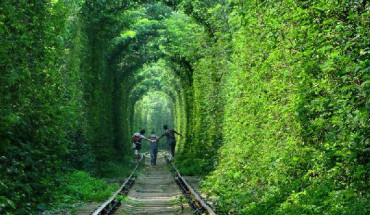 Đường hầm tình yêu được tạo thành từ những bụi cây ở thị trấn Klevan, Ukraine