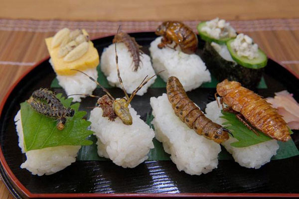 Món sushi côn trùng của người Nhật Bản