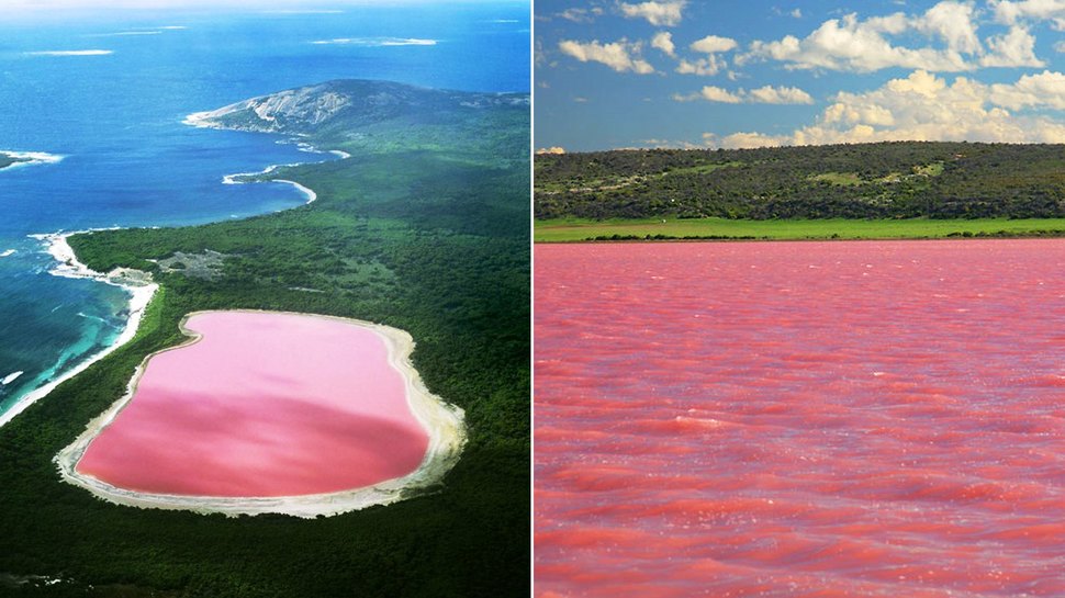 Cho tới thời điểm hiện tại màu hồng của hồ Hillier vẫn còn là một bí ẩn, nó không giống như bất kỳ hồ màu hồng nào khác trên thế giới, sắc hồng vẫn giữ được nguyên vẹn màu sắc quanh năm. 