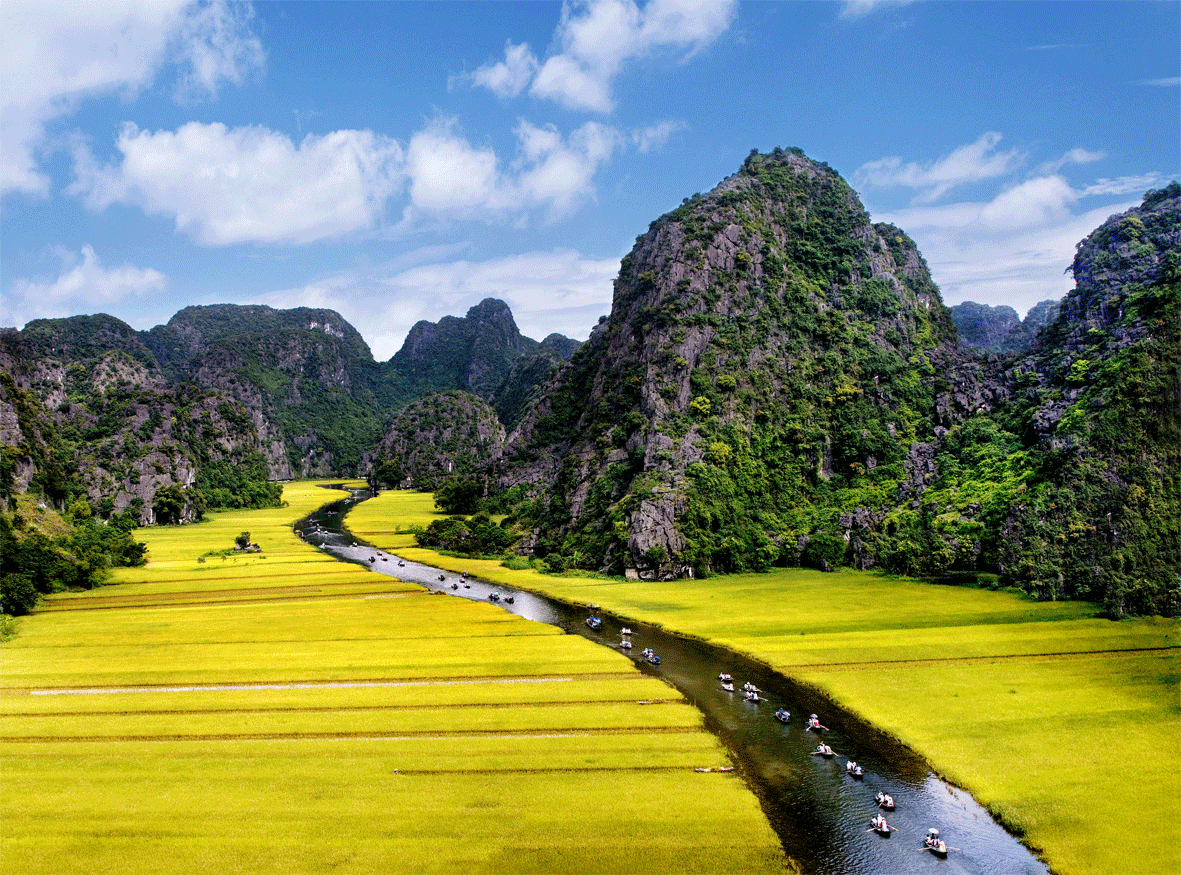 Tam Cốc Bích Động Đẹp mê hồn ngày lúa chín