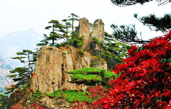 Thảm thực vật tuyệt đẹp vào mùa thu trên dãy núi Hoàng Liên Sơn