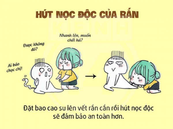 Tác dụng hút độc rắn của bao cao su