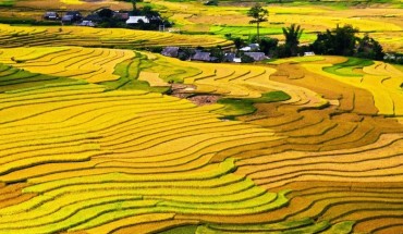 Với độ cao trung bình, các vùng núi phía Bắc Việt Nam có khí hậu ôn hòa rất thích hợp cho những chuyến nghỉ dưỡng