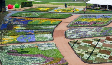 Những bức tranh hoa trong lễ hội hoa Floriade